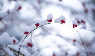 冰雪旅游包括哪些项目和活动 著名冰雪旅游项目有哪些