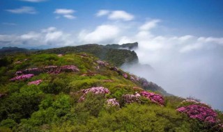 南川景点有哪些 南川景点