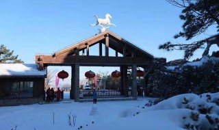 旅游网雪乡 雪乡旅游概览