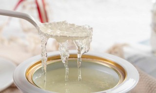 关于雪燕的功效与作用及营养 雪燕的功效与作用及营养