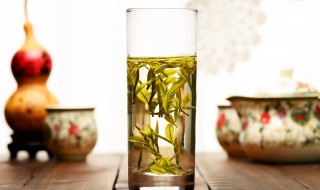 喝竹叶青茶的注意事项有哪些 喝竹叶青茶的禁忌