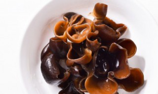 给男人补肾的食物 吃什么给男人补肾