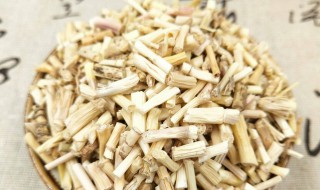 白茅根不适合哪些人使用 白茅根哪些人不能吃
