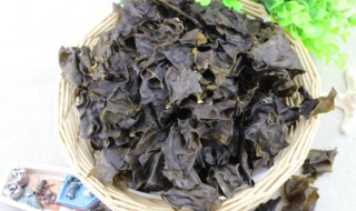 海木耳啥人不能吃 海木耳什么人不能吃