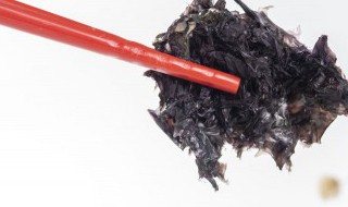 紫菜没煮熟吃了会中毒吗 紫菜没煮熟吃了会不会有毒