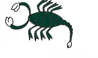 全蝎的营养价值有哪些 全蝎的营养价值