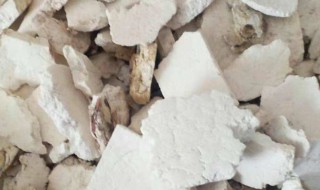 茯神的营养价值有哪些 茯神的营养价值