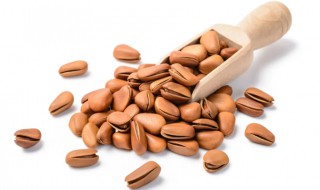 松子发苦了还可以吃吗 松子发苦了还能吃吗