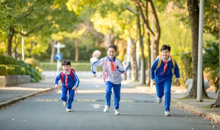 胖大海泡水小孩能不能喝 胖大海泡水小孩能喝吗