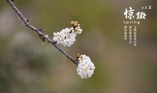 惊蛰的时候如何养生 惊蛰节气养生注意事项