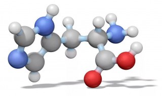 氨基酸有什么功效和作用 氨基酸的功效和作用