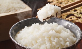 自热米饭有没有营养价值 自热米饭有营养价值吗