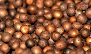 山药豆与什么食物相克 山药豆跟什么相克