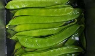 刀豆的相关介绍 刀豆的功效与作用