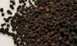虫屎茶有什么功效与作用 虫屎茶的功效与作用