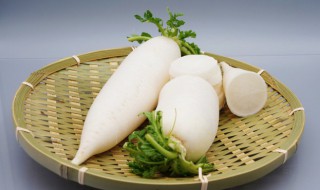 能不能一起吃鸡蛋白萝卜 鸡蛋白萝卜可以一起吃吗