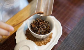 陈皮老白茶的功效与作用简单介绍 陈皮老白茶的功效与作用