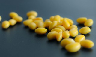 黄豆浆的功效与作用 黄豆浆的功效与作用