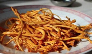 虫草菇的功效与作用有什么 虫草菇的功效与作用
