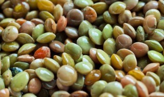 小扁豆功效作用介绍 小扁豆的功效与作用