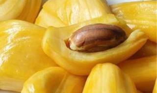 菠萝蜜功效介绍 菠萝蜜的核能不能吃
