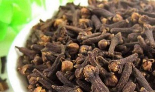 丁香啥功效和作用 丁香什么功效和作用