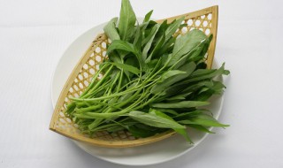 可不可以吃蔫了空心菜 空心菜蔫了还能吃吗