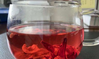 洛神花陈皮泡水的功效是什么 洛神花陈皮泡水的功效