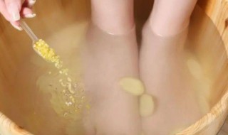 冷水泡脚的好处与坏处有什么 冷水泡脚的好处与坏处