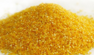 玉米碴子的功效与作用介绍 玉米碴子的功效与作用