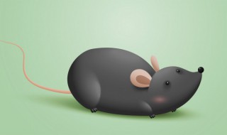 老鼠咬过的东西能吃吗 被老鼠咬过的东西还能吃吗