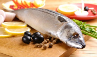 补充优质蛋白可以吃哪些食物 吃什么食物是补充优质蛋白