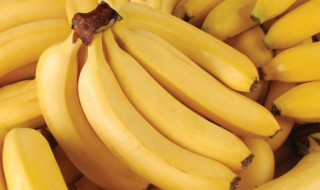 香蕉简单介绍 香蕉是凉性的还是热性的