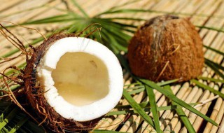 哪些食物不能和椰子同食 椰子不能和什么同食呢