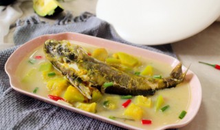 南瓜和鲈鱼可以一起吃吗 南瓜和鲈鱼能一起吃吗