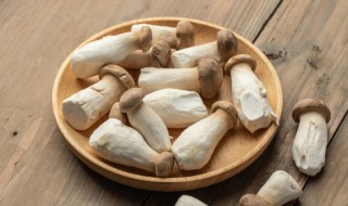 杏鲍菇容易消化吗 杏鲍菇不易消化吗