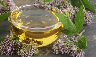 仙鹤草的副作用及禁忌有哪些 仙鹤草的副作用及禁忌是什么