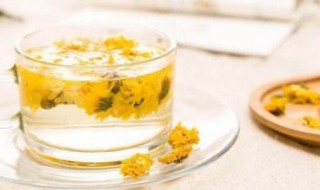 冰糖菊花茶的功效与作用是什么 冰糖菊花茶的功效与作用