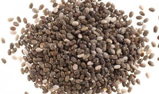 怎么吃奇亚籽最好 奇亚籽怎么吃最好