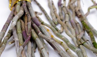 怎样吃铁皮石斛最好 怎么吃铁皮石斛最好