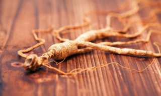 人参酒的功效与作用简单介绍 人参酒的功效与作用