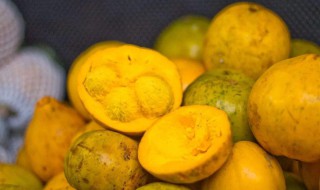 鸡蛋果相关介绍 鸡蛋果不适合什么人吃