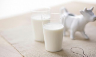 牛奶和绿茶能不能一起喝 牛奶和绿茶能一起喝吗