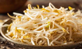 变绿的豆芽和发芽的土豆谁可以食用 变绿的豆芽和发芽的土豆哪个可以食用