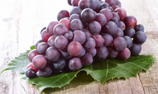 葡萄根对身体的优点 葡萄根的功效与作用