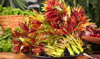 吃腌香椿的危害 腌香椿对身体的害处