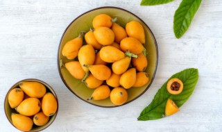 有关枇杷上火还是降火介绍 枇杷上火还是降火