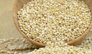 吃藜麦的益处 吃藜麦的好处