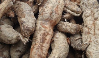 葛根有什么功效 葛根有什么用途