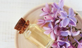 桐油擦身有什么作用 桐油擦身的作用和功效